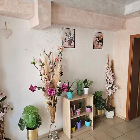 Apartman Sheatou Valon A 30